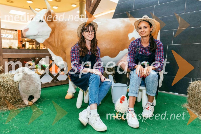 Spoznajte delo na kmetiji, Citycenter Celje