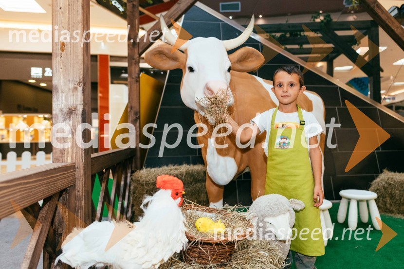 Spoznajte delo na kmetiji, Citycenter Celje