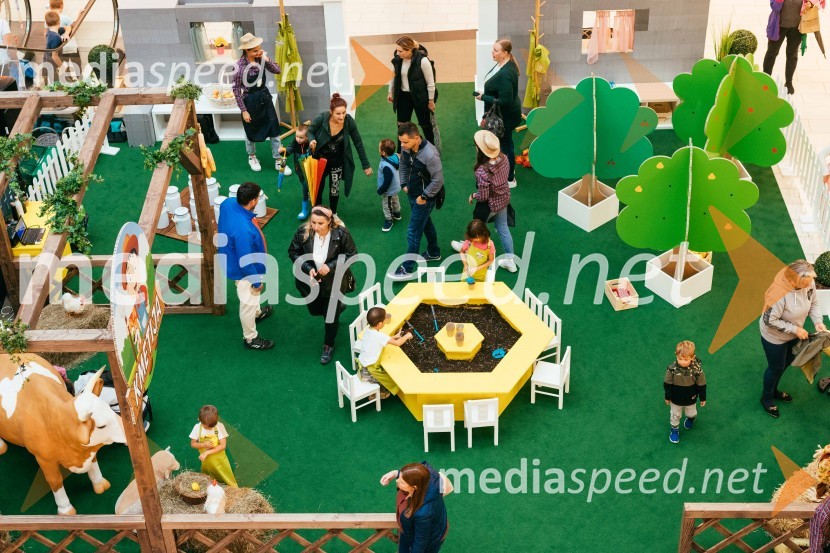 Spoznajte delo na kmetiji, Citycenter Celje