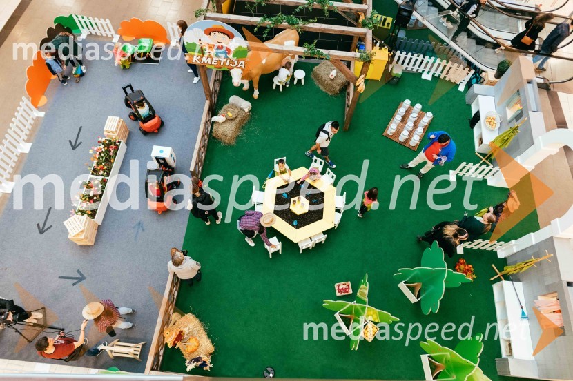 Spoznajte delo na kmetiji, Citycenter Celje