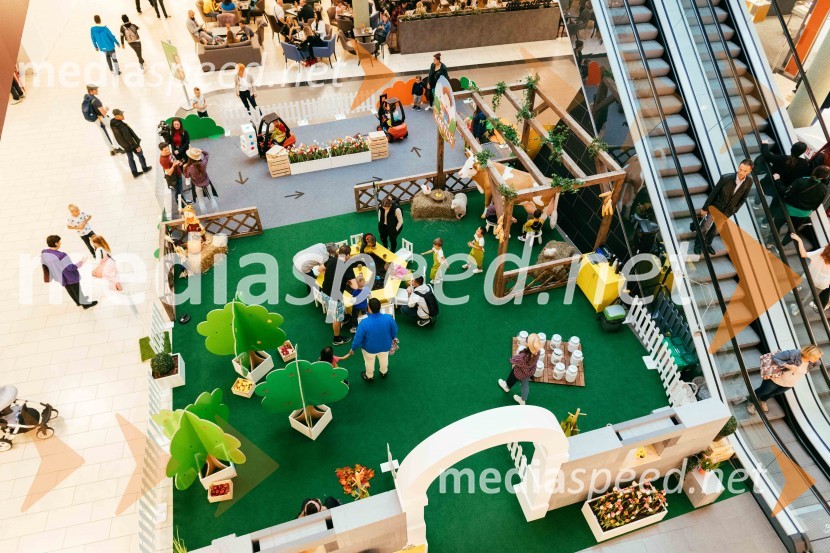 Spoznajte delo na kmetiji, Citycenter Celje