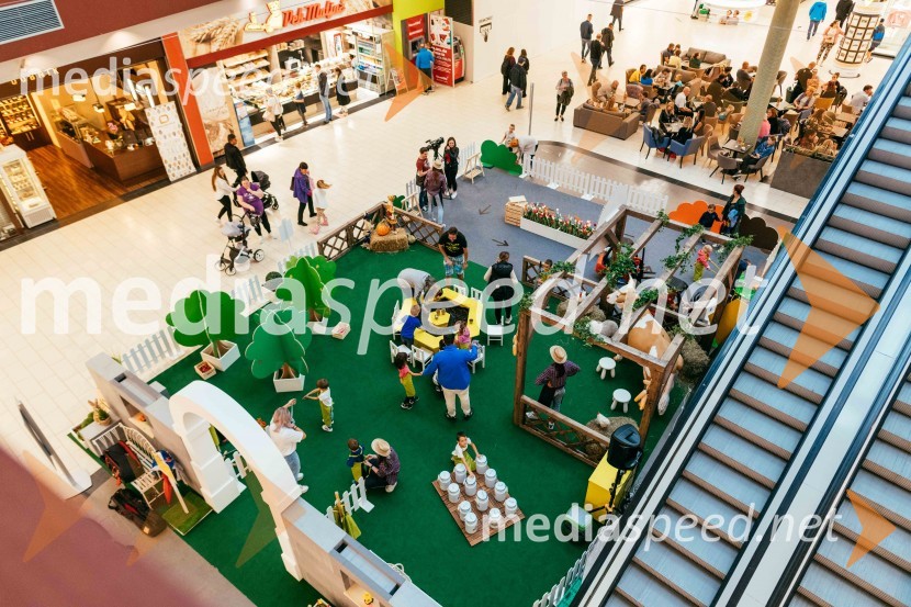 Spoznajte delo na kmetiji, Citycenter Celje