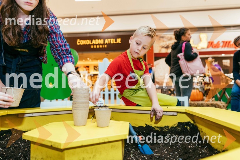 Spoznajte delo na kmetiji, Citycenter Celje