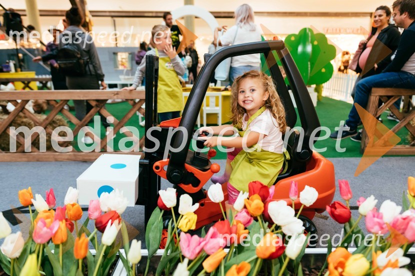 Spoznajte delo na kmetiji, Citycenter Celje
