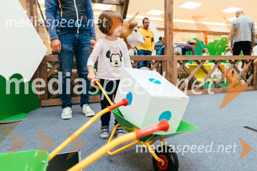 Spoznajte delo na kmetiji, Citycenter Celje