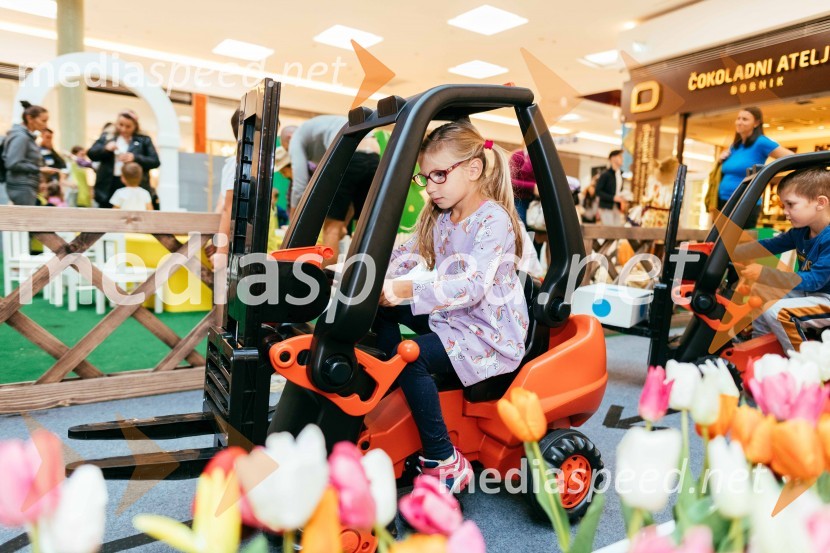 Spoznajte delo na kmetiji, Citycenter Celje