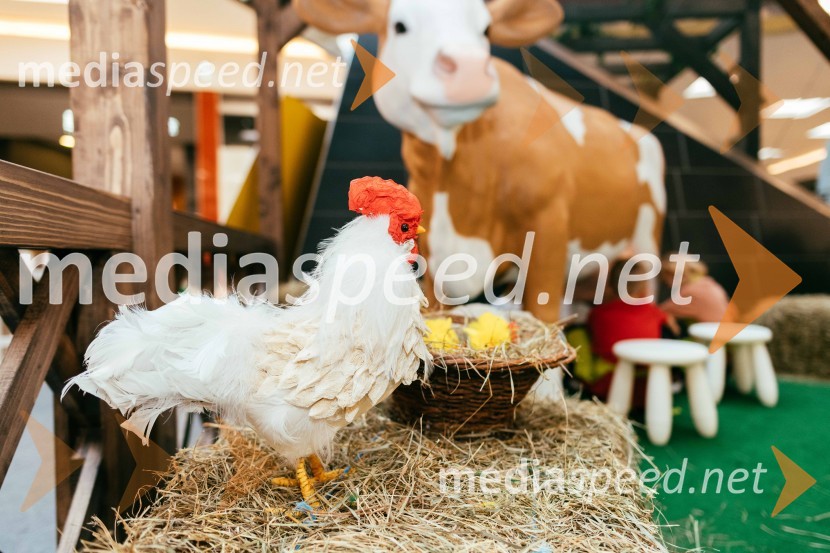 Spoznajte delo na kmetiji, Citycenter Celje