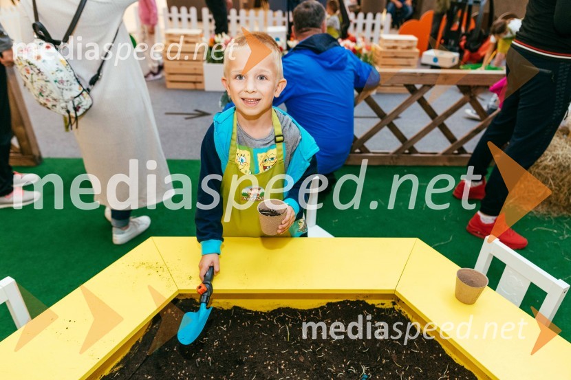 Spoznajte delo na kmetiji, Citycenter Celje