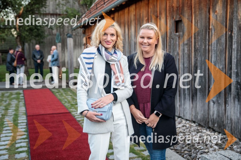 Iskrivo v živo, mag. Mirko Cigler v pogovoru s Ksenijo Horvat