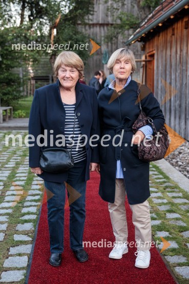 Iskrivo v živo, mag. Mirko Cigler v pogovoru s Ksenijo Horvat