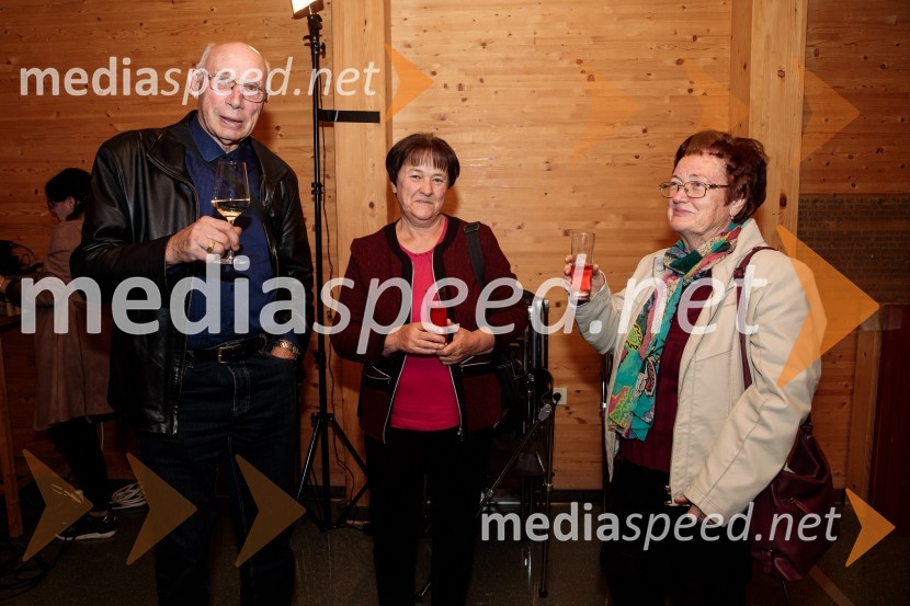 Iskrivo v živo, mag. Mirko Cigler v pogovoru s Ksenijo Horvat