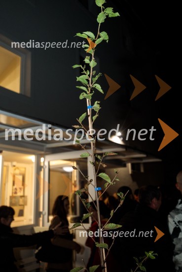 Zaprta študija. »New Constructive Ethics«, premiera v Prešernovem gledališču Kranj