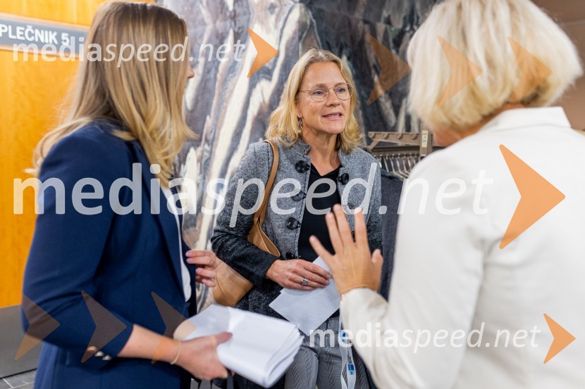  ... ;  Nicole Beattie-Budig, asistentka pri davčnem svetovanju, WW+KN Consulting Team;  Katja  Stadler, Direktorica Deslo – AHK, poslovne storitve d.o.o.Nemški forum 2022 Poslovna konferenca Slovensko-nemške gospodarske zbornice