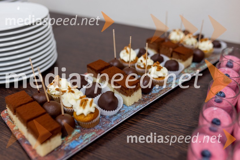 Nemški forum 2022 Poslovna konferenca Slovensko-nemške gospodarske zbornice