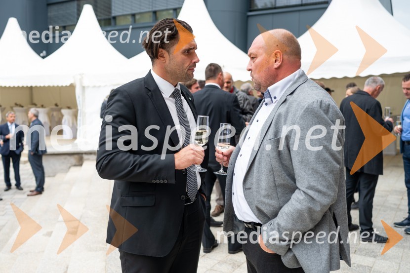 mag. Damjan Seme, direktor, Dravske elektrarne Maribor;  ... Slavnostni dogodek ob 70. obletnici družbe Dravske elektrarne Maribor