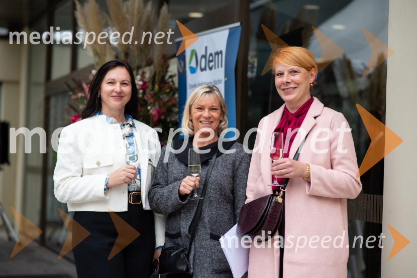 Slavnostni dogodek ob 70. obletnici družbe Dravske elektrarne Maribor