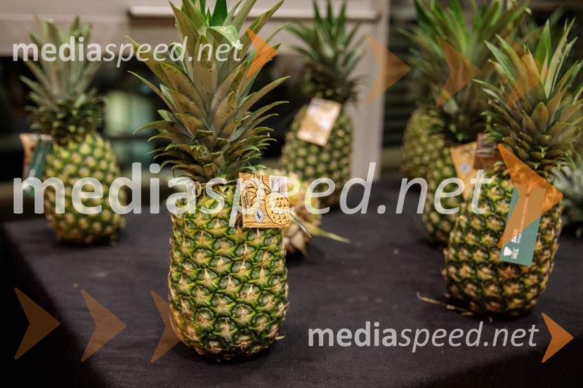 Žabe, premiera poetične drame