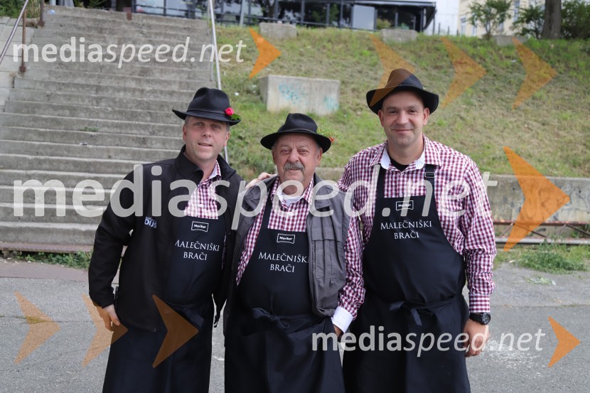 36. svečana trgatev Stare trte, najstarejše trte na svetu