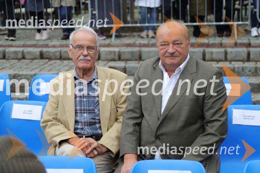 36. svečana trgatev Stare trte, najstarejše trte na svetu