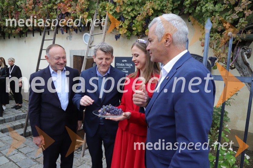  Stane Kocutar, mestni viničar, skrbnik Stare trte, novinar Radia Maribor, zgodovinar;  Robert Gorjak, vinska šola Belvin;  Neža Jarc, Mariborska vinska kraljica 2020;  Aleksander Saša Arsenovič, župan, Mestna občina Maribor36. svečana trgatev Stare trte, najstarejše trte na svetu