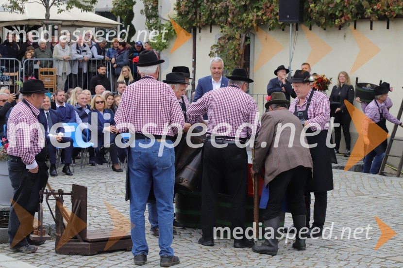 36. svečana trgatev Stare trte, najstarejše trte na svetu