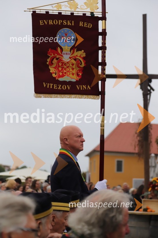 36. svečana trgatev Stare trte, najstarejše trte na svetu