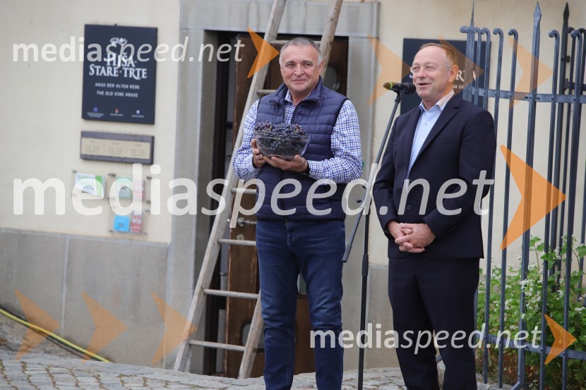  Ivo Velišek, direktor uprave, Praški grad;  Stane Kocutar, mestni viničar, skrbnik Stare trte, novinar Radia Maribor, zgodovinar36. svečana trgatev Stare trte, najstarejše trte na svetu