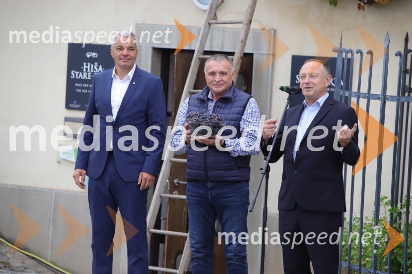  Aleksander Saša Arsenovič, župan, Mestna občina Maribor;  Ivo Velišek, direktor uprave, Praški grad;  Stane Kocutar, mestni viničar, skrbnik Stare trte, novinar Radia Maribor, zgodovinar36. svečana trgatev Stare trte, najstarejše trte na svetu