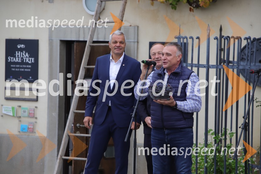  Aleksander Saša Arsenovič, župan, Mestna občina Maribor;  Stane Kocutar, mestni viničar, skrbnik Stare trte, novinar Radia Maribor, zgodovinar;  Ivo Velišek, direktor uprave, Praški grad36. svečana trgatev Stare trte, najstarejše trte na svetu