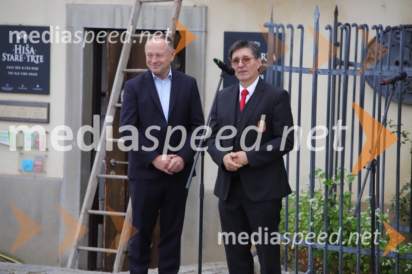  Stane Kocutar, mestni viničar, skrbnik Stare trte, novinar Radia Maribor, zgodovinar;  ... 36. svečana trgatev Stare trte, najstarejše trte na svetu