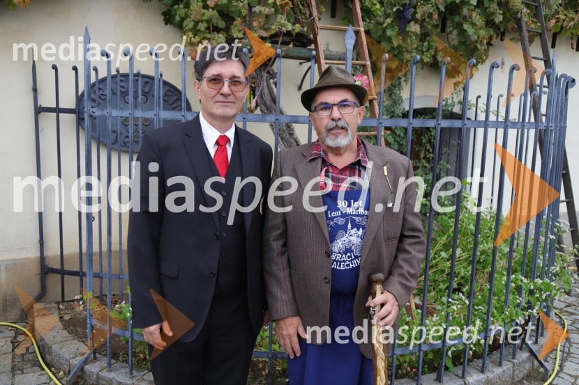 36. svečana trgatev Stare trte, najstarejše trte na svetu