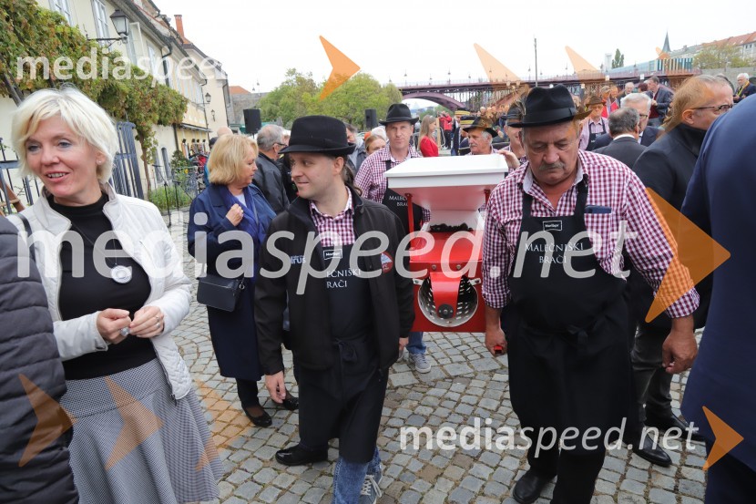 36. svečana trgatev Stare trte, najstarejše trte na svetu