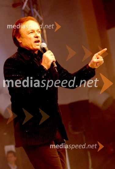 Alfi Nipič, pevecRazglasitev Slovenca leta 2005 Nedeljskega dnevnika