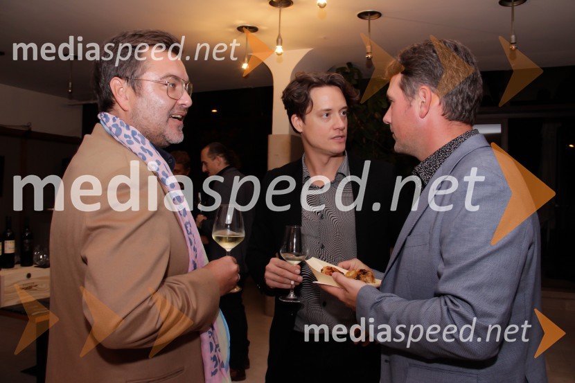  ... ;  Domen Valič, igralec;  ... Strast, dojenček in rompompom, premiera stand-upa Vida Valiča