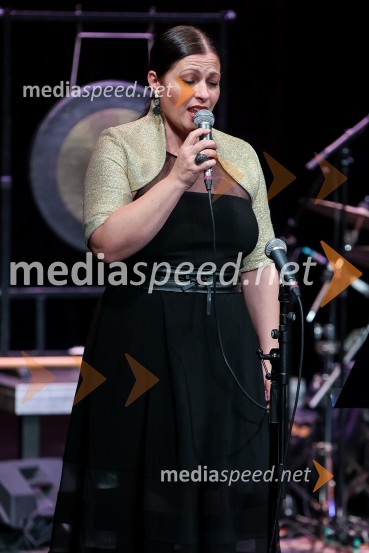  Nuška Drašček, pevkaKoncert Orion v spomin Juretu Robežniku