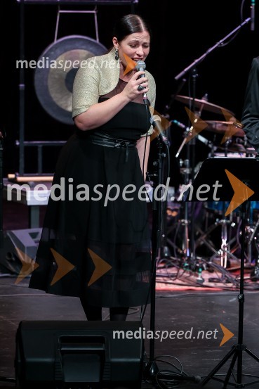  Nuška Drašček, pevkaKoncert Orion v spomin Juretu Robežniku