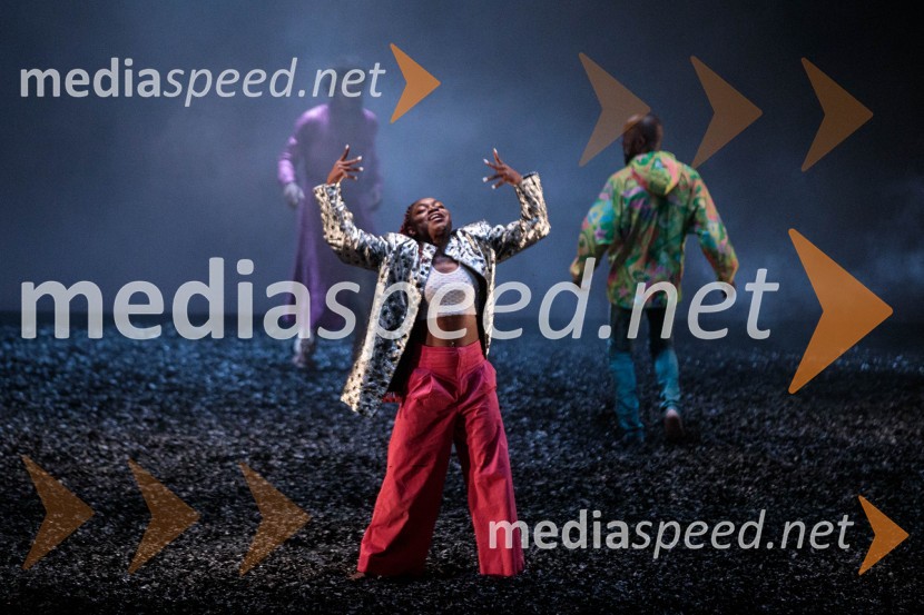  Jolie NgemiFaso Danse Théâtre: WAKATT, premiera v Cankarjevem domu