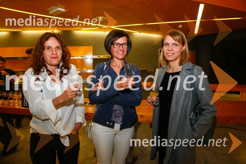 Pravljice našega otroštva, premiera v SNG Nova Gorica