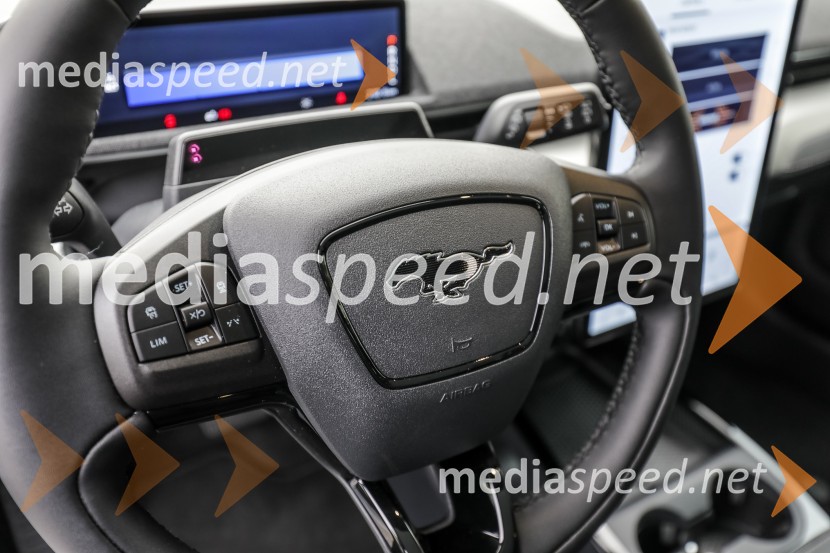 Novi Ford Mustang Mach-E