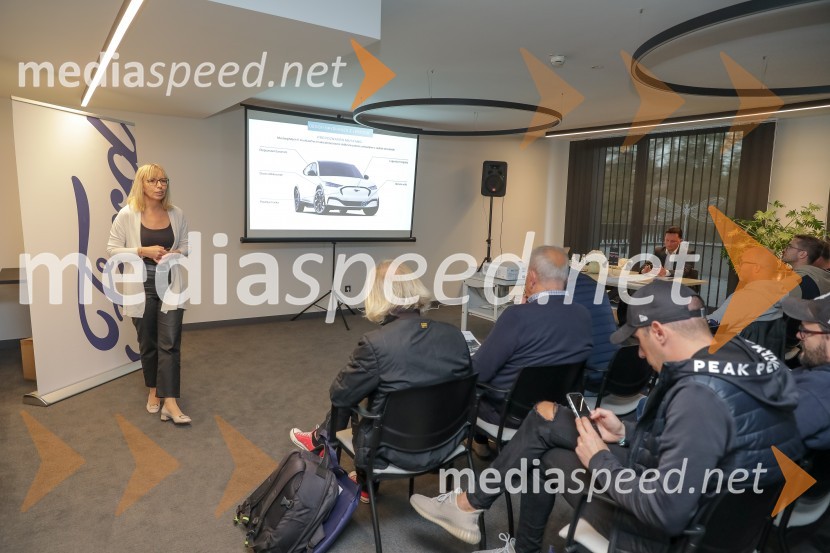 Novi Ford Mustang Mach-E