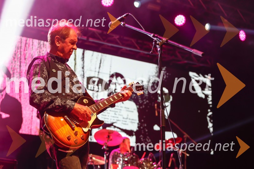  Bogo  Pretnar, glasbenik, PankrtiPANKRTI, koncert ob 45. obletnici