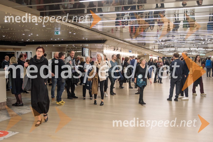 Koncert Josipe Lisac v Cankarjevem domu