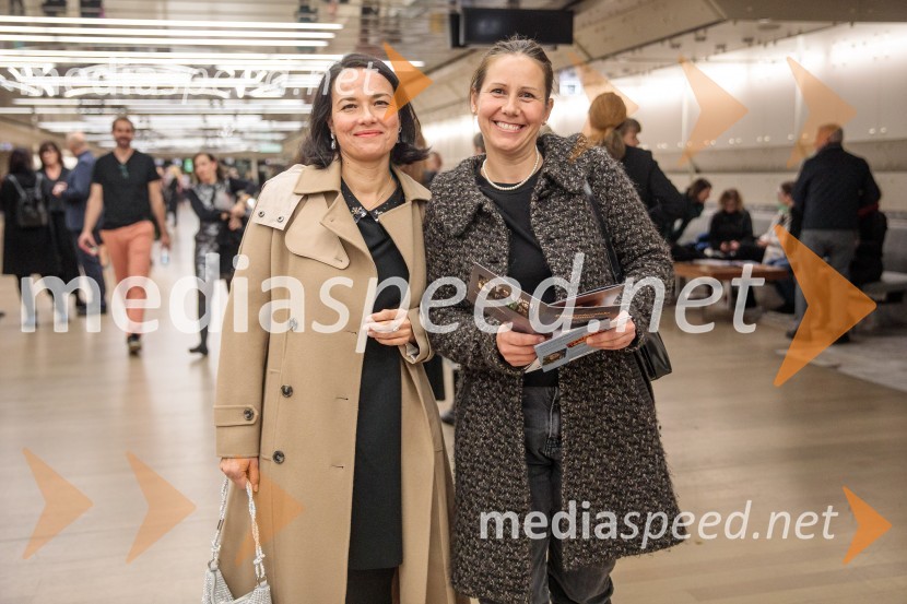 Koncert Josipe Lisac v Cankarjevem domu