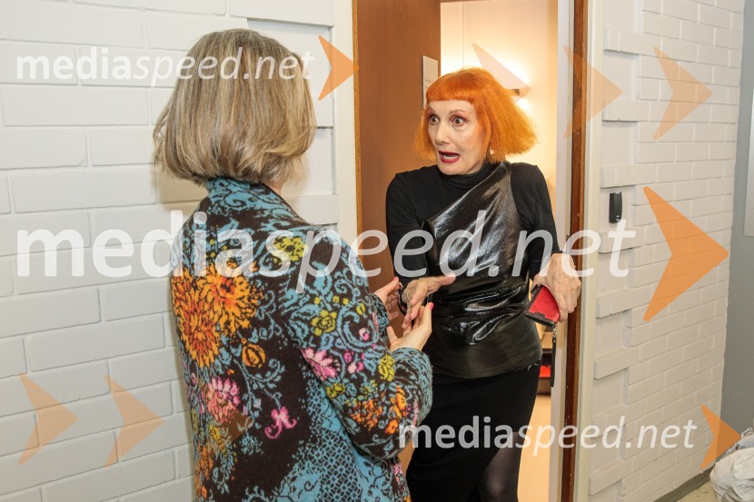  Josipa Lisac, pevka;  Nika Vistoropski, novinarka revij Ona in OnaplusKoncert Josipe Lisac v Cankarjevem domu