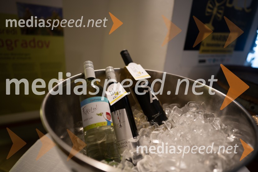 PUBEC že osmo sezono piše uspešno zgodbo o povezovanju