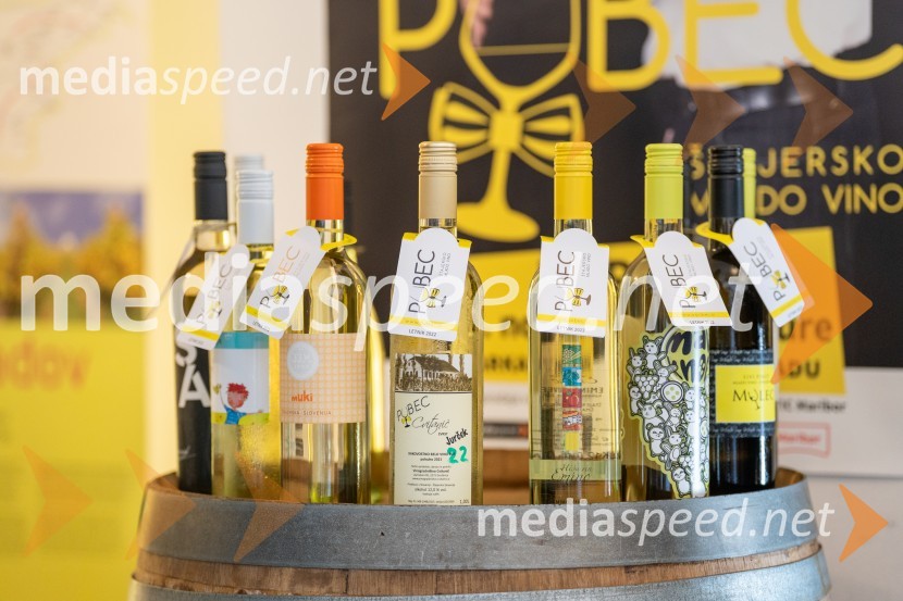 PUBEC že osmo sezono piše uspešno zgodbo o povezovanju