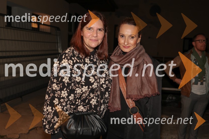  Teja Pelko, novinarka, Svet24;  Helena Grahek, vodja marketinga in odnosi z javnostmi, Slovensko mladinsko gledališčeKrize, premiera predstave Slovensko mladinsko gledališče