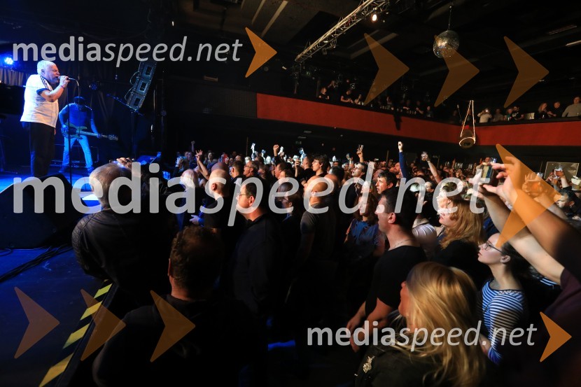  Zoran Predin, glasbenikLačni Franz, Veliki finale, zaključni koncert na Štuku