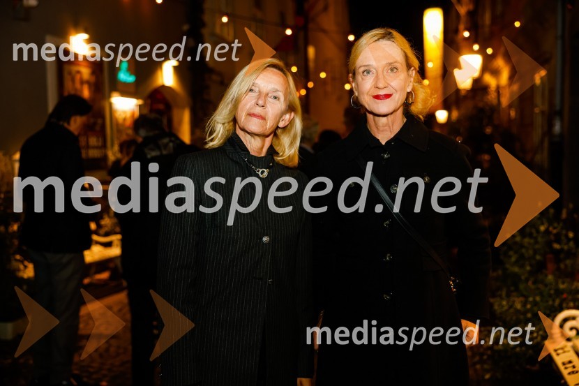 Amsterdam, premiera v Mini teatru