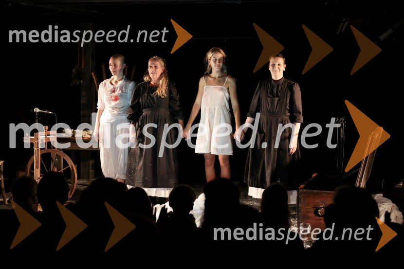  Nataša Keser, igralka;  Zvezdana  Mlakar, igralka;  Ivana Percan Kodarin, igralka;  Barbara  Žefran, igralkaŽene v testu, premiera